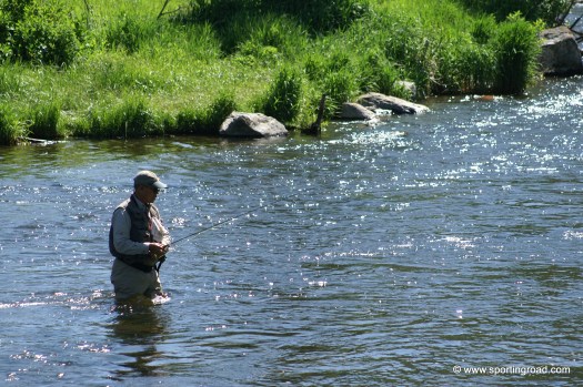 KONICA MINOLTA DIGITAL CAMERA