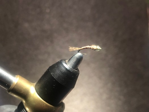 24D5FF7F-FB74-4BBB-8F82-C7F8CD02279C