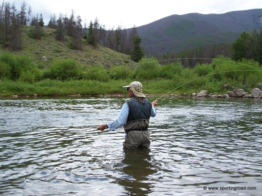 BFAB97A7-75C9-4D81-A10F-ED2B319AA897